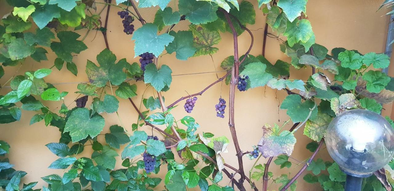 Casa Vacanze Rose E Fiori Sardegna سان فيتو المظهر الخارجي الصورة